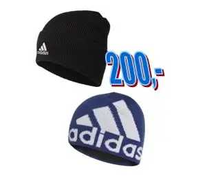 čepice